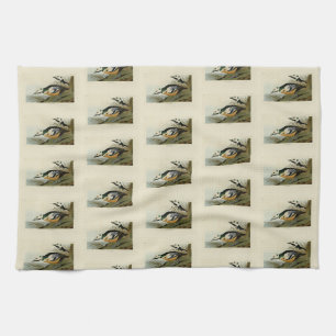Western Duck von Audubon's Birds of America Geschirrtuch