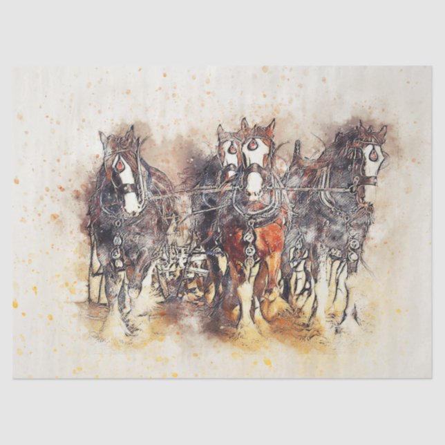 Western für Arbeitspferde - Entpacken von Kunstobj Seidenpapier (Vorderseite)