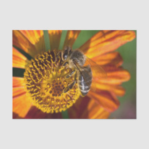 Western Honey Bee Macro Foto Seidenpapier