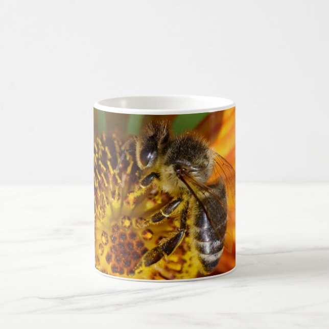 Western Honey Bee Macro Foto Tasse (Mittel)