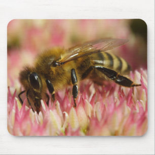 Western Honey Bee Mousepad