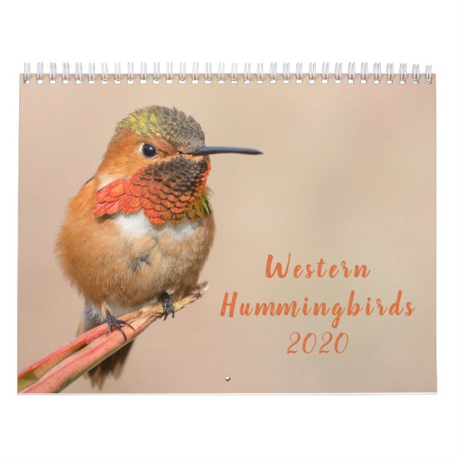 Western Hummingbirds 2020 Kalender (Titelbild)