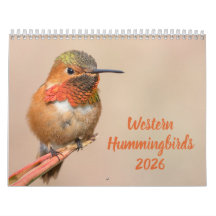 Western Hummingbirds Fotograf