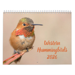 Western Hummingbirds Fotograf Kalender