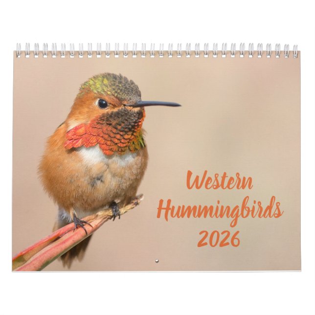 Western Hummingbirds Fotograf Kalender (Titelbild)
