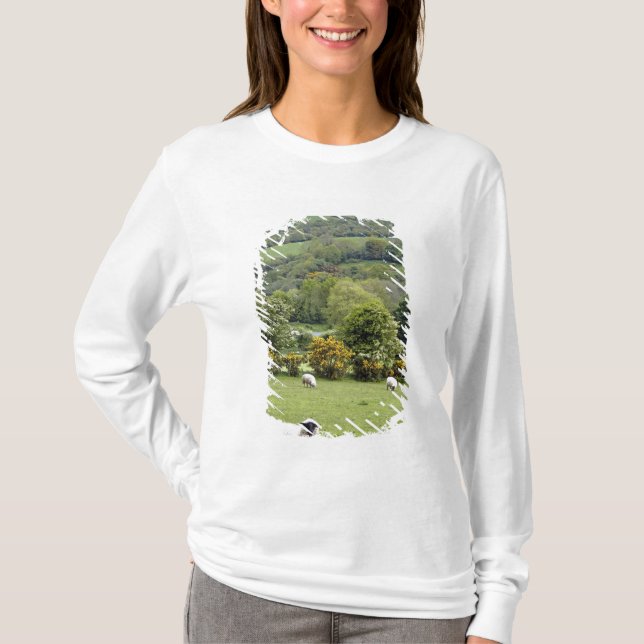 Western Irland, Dingle Halbinsel, breit T-Shirt (Vorderseite)
