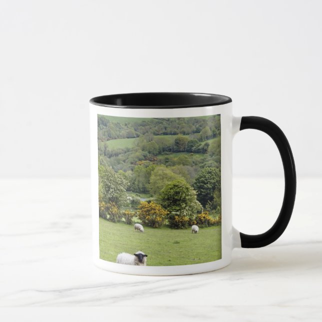 Western Irland, Dingle Halbinsel, breit Tasse (Rechts)