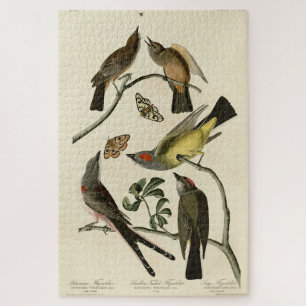 Western Kingbird, etc - Audubons Vögel in Amerika Puzzle