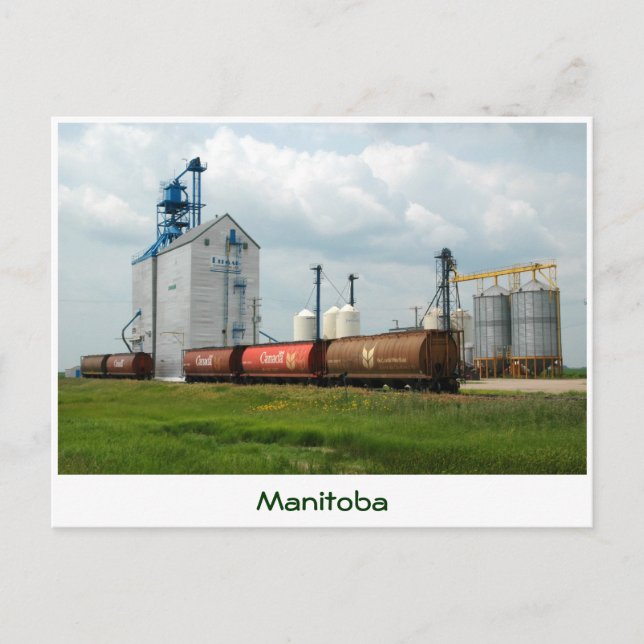 Western-Korn-Aufzug Postkarte (Vorderseite)