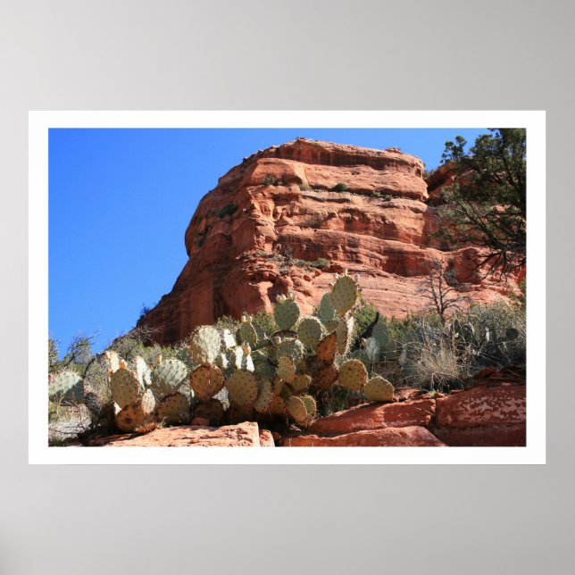 Western Landschaft Poster (Vorne)