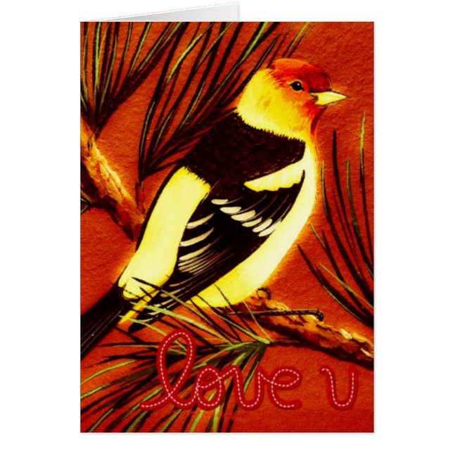 Western Liebe Tanager (Vorne)