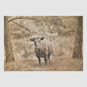 Western Longhorn Bull Seidenpapier
