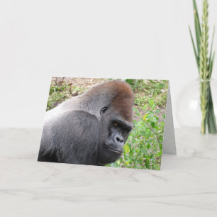 Western Lowland Gorilla Grußkarte Karte