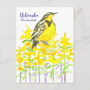 Western Meadowlark Bird Goldenrod Nebraska Postkarte