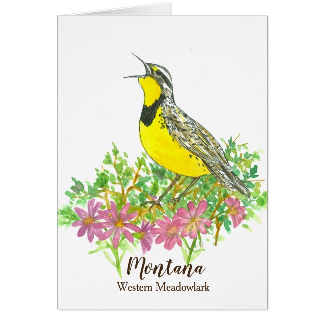 Western Meadowlark Bitterroot Montana Hallo (Vorne)