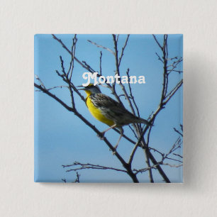 Western Meadowlark Button