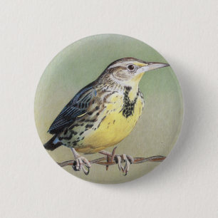 Western Meadowlark Button