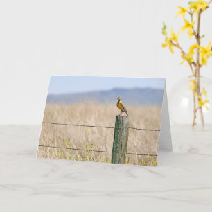 Western Meadowlark Grußkarte für jeden Anlass Karte