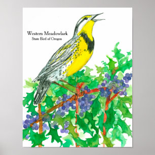 Western Meadowlark Poster