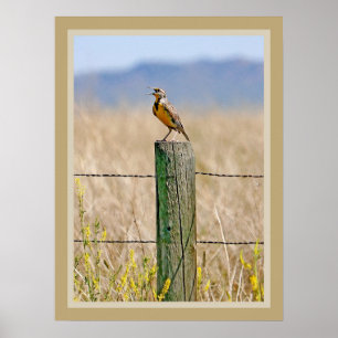 Western Meadowlark Poster