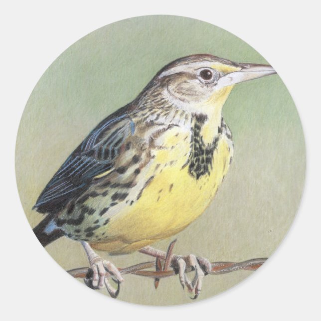 Western Meadowlark Runder Aufkleber (Vorderseite)