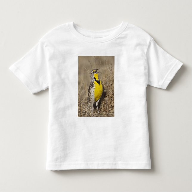 Western Meadowlark (Strunella neglecta) Kleinkind T-shirt (Vorderseite)