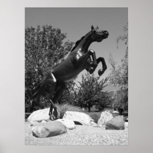 Western-Michigan-Universität, Kalamazoo, MI Poster