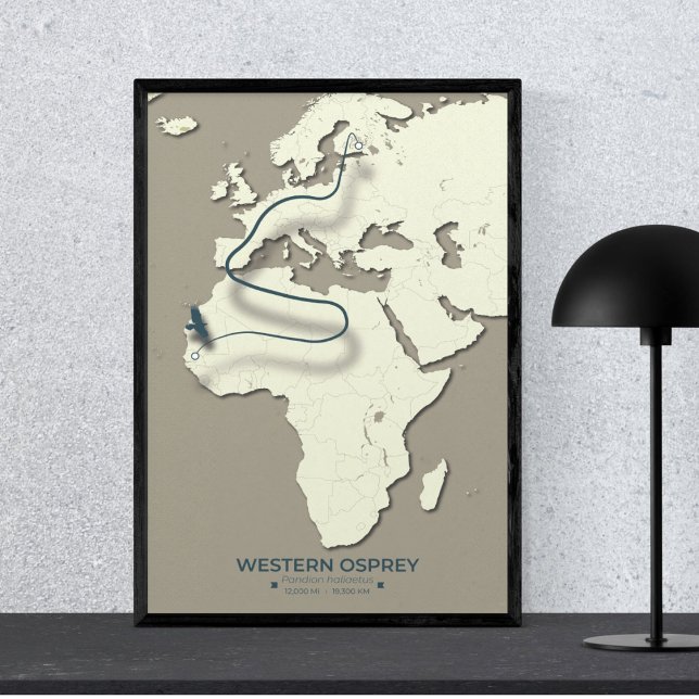 Western Osprey Migration Map - Minimalistisch Vint Poster (Von Creator hochgeladen)