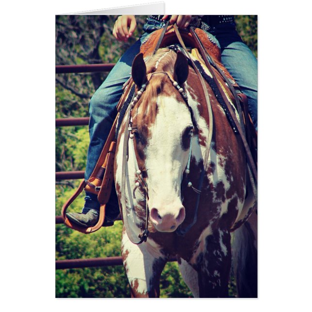 Western Paint Horse (Vorne)