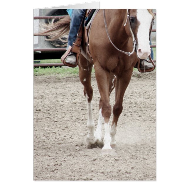 Western Paint Horse (Vorne)