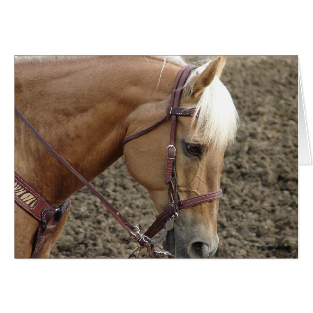 Western Palomino (Vorderseite (Horizontal))