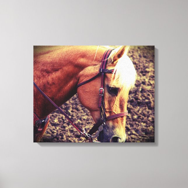 Western Palomino Leinwanddruck (Vorderseite)
