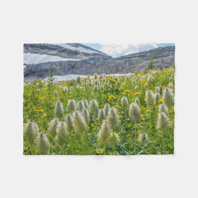 Western Pasqueflower | Ost-Kootenay-Berge Fleecedecke (Vorderseite (Horizontal))