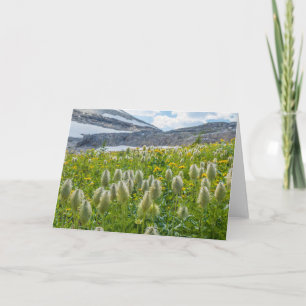 Western Pasqueflower Ost-Kootenay-Berge Karte