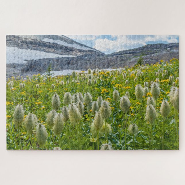 Western Pasqueflower | Ost-Kootenay-Berge Puzzle (Horizontal)