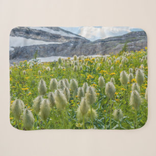 Western Pasqueflower Ost-Kootenay-Berge Sherpadecke
