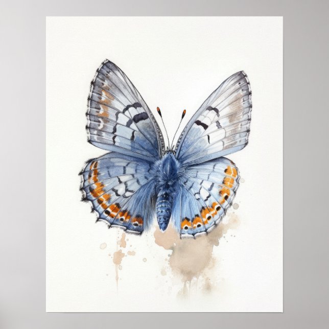Western Pygmy Butterfly Art Print Poster (Vorne)