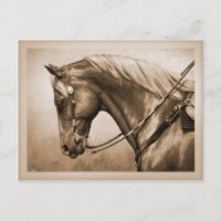 Western Ranch Pferd Altes Foto Sepia