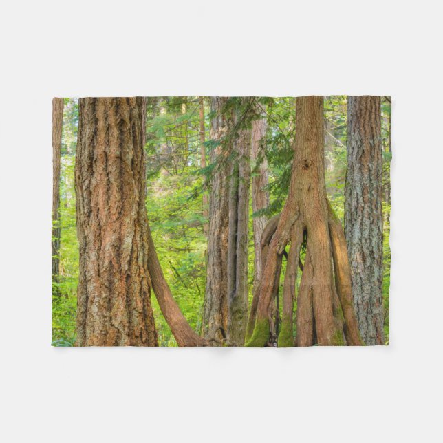 Western Red Cedar Tree | Washingtoner Staat Fleecedecke (Vorderseite (Horizontal))