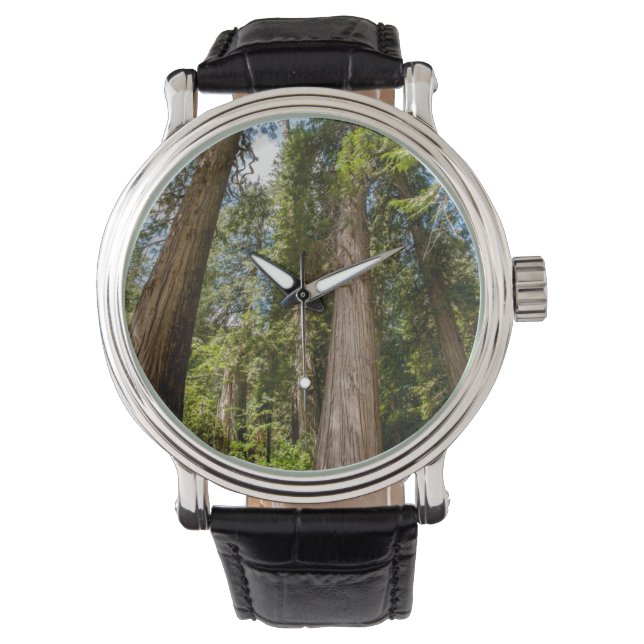 Western Red Cedar Trees Armbanduhr (Vorderseite)