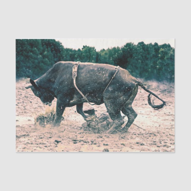 Western Rodeo Black Bull Country Cowboy Rustikal Seidenpapier (Vorderseite)