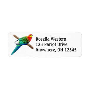 Western Rosella Parrot
