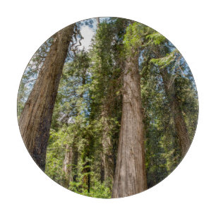 Western Rote Zedernbaume Schneidebrett