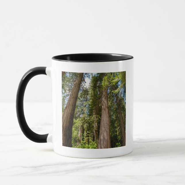 Western Rote Zedernbaume Tasse (Links)
