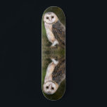 Western-Schale-Skateboard Skateboard<br><div class="desc">Western Barn Owl - Migne Wasserfarben Malerei Kunst,  Bird of Forest</div>