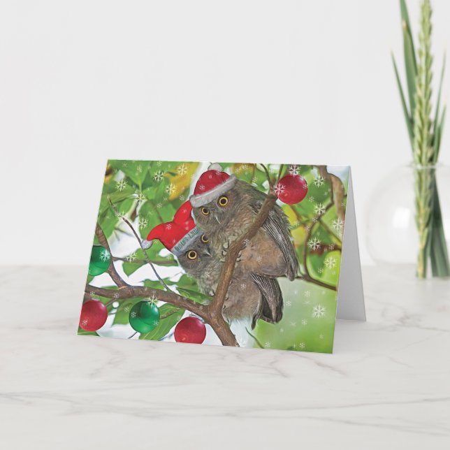 Western Screech Owls Weihnachten (Vorderseite)