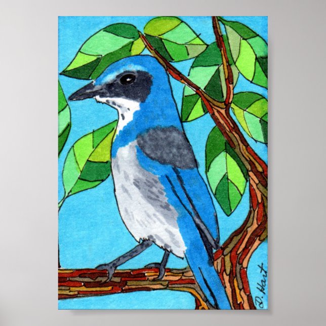 Western Scrub Jay Mini Folk Art Poster (Vorne)