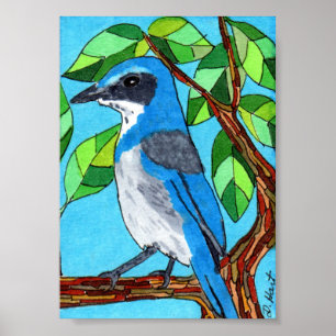 Western Scrub Jay Mini Folk Poster