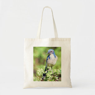 Western Scrub Jay Tragetasche