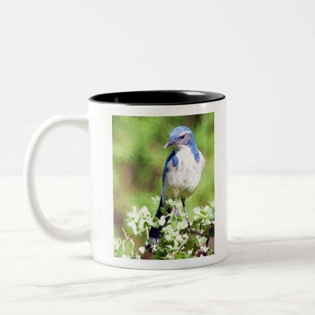 Western Scrub Jay Zweifarbige Tasse (Links)